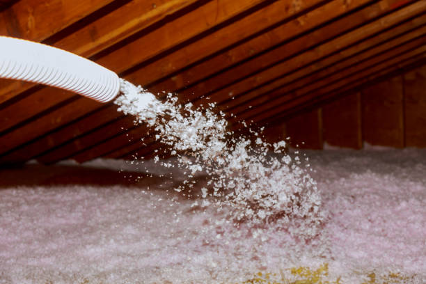 Reliable Hainesville, IL Insulation Contractor Solutions