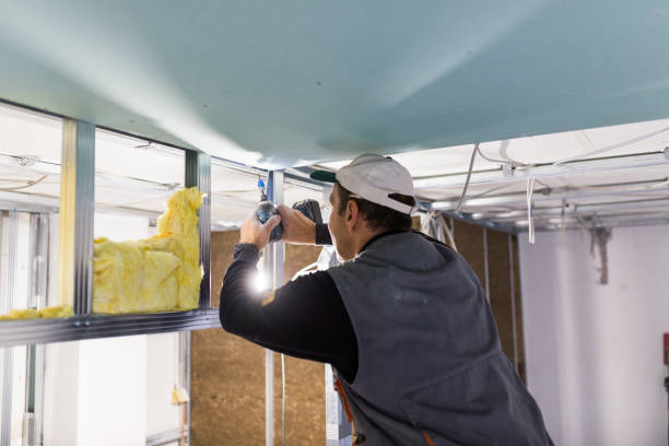 Best Spray Foam Insulation in Hainesvle, IL