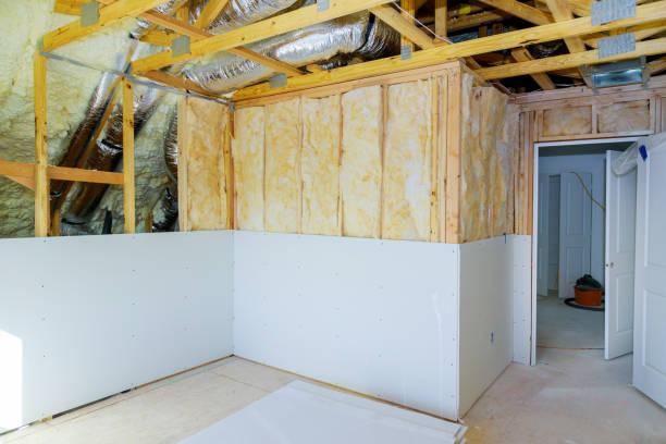 Best Geographic-Specific Insulation Services in Hainesvle, IL