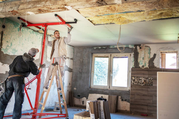 Best Commercial Insulation in Hainesvle, IL