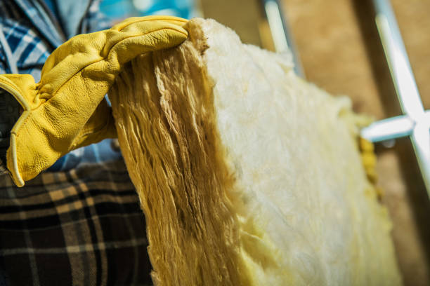 Best Specialized Insulation Services in Hainesvle, IL