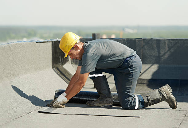 Best Fiberglass Insulation in Hainesvle, IL