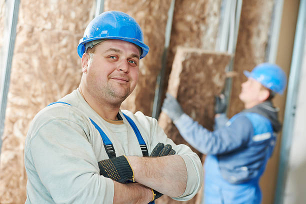 Best Cellulose Insulation in Hainesvle, IL