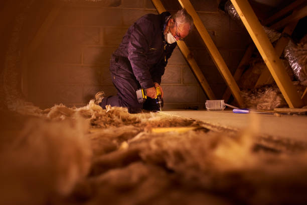 Types of Insulation We Offer in Hainesville, IL